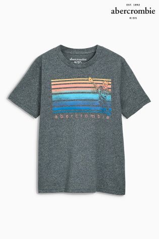 Abercrombie & Fitch Grey Tee